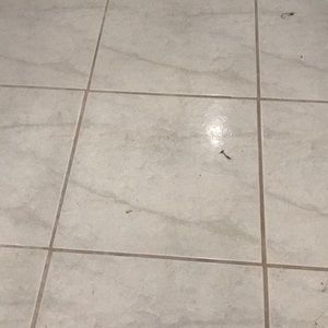 Meet your Posher, Jorge